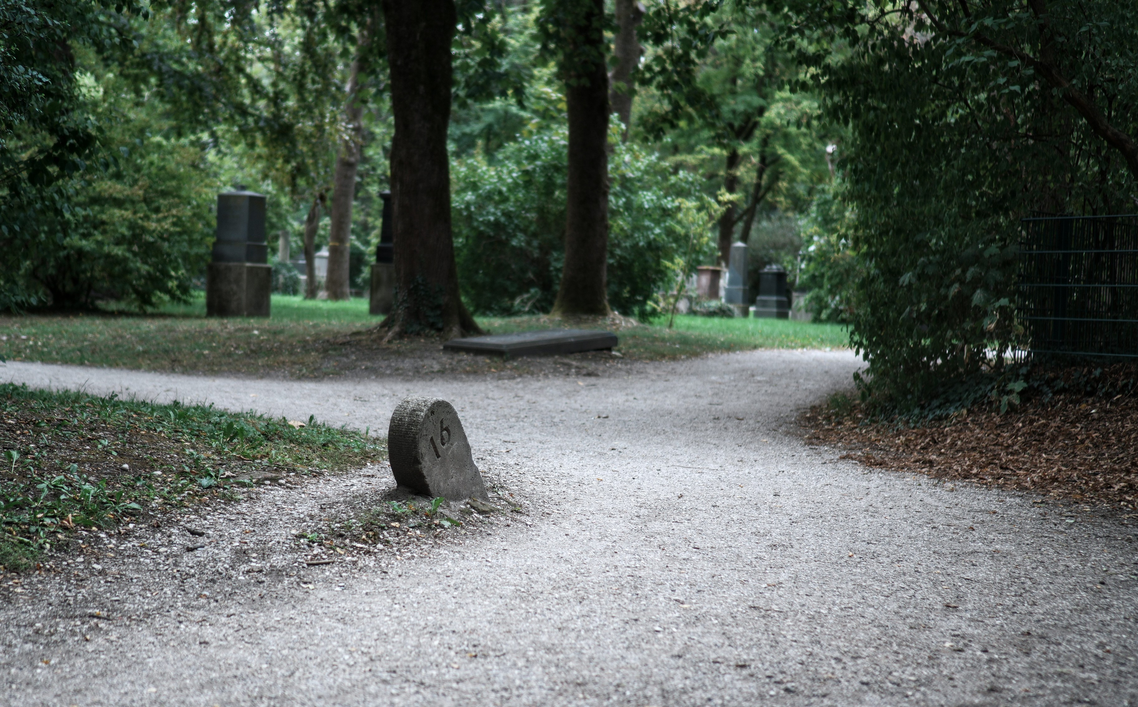 A gravel path branching into two directions just behind a stone labelled "16", that used to mark cemetery sections. Large trees and old gravestones can be seen in the background. The tone of the photo is a bit dark and slightly spooky.